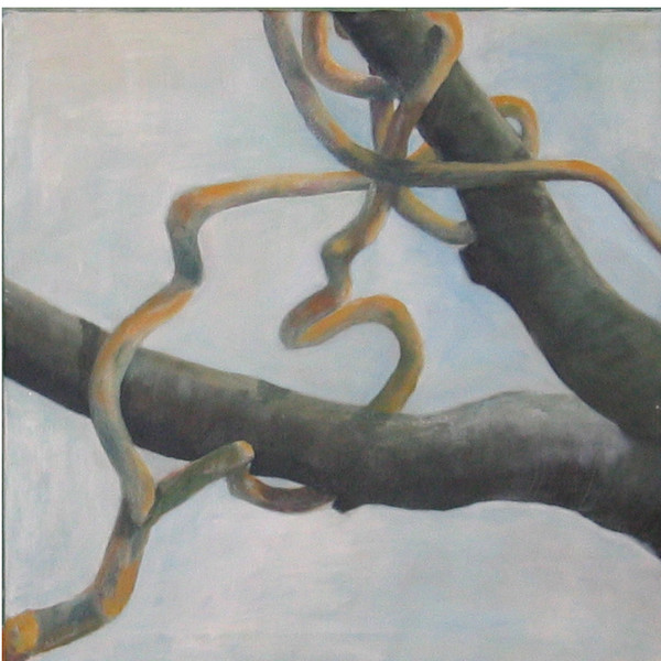 The tree branches/ Davis vs Goliath