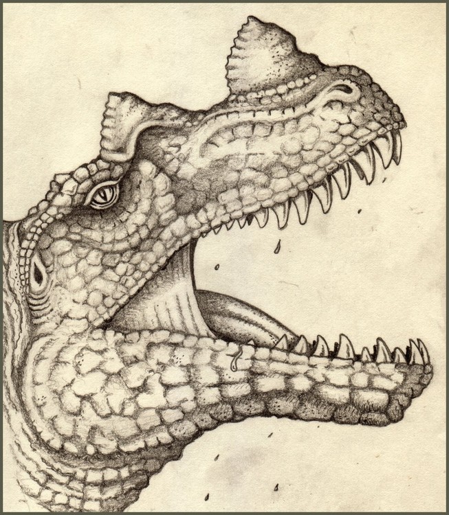 Ceratorsaurus magnicornis