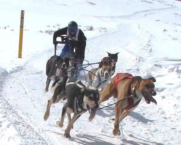 The Finish Line