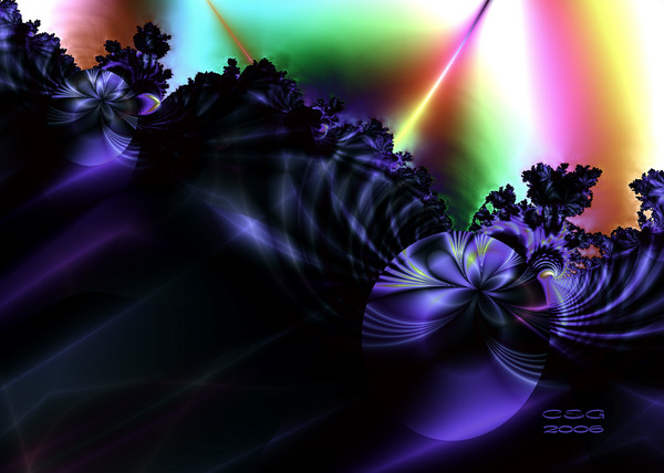 Night Flowers