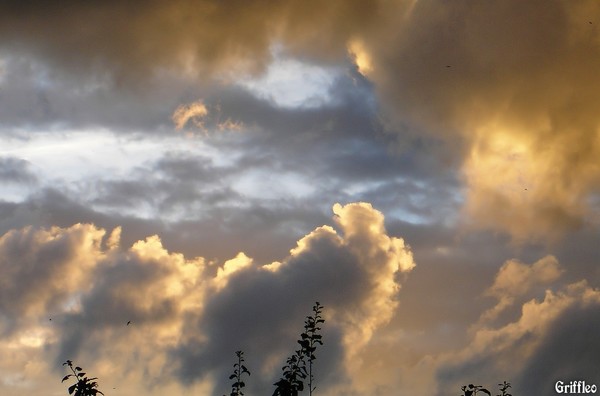 LAST NIGHTS CLOUDS