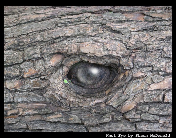Knot Eye