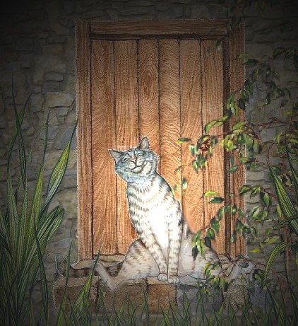 My Front Door...