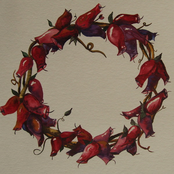 Circle