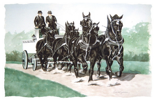 Percheron hitch