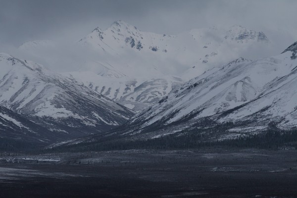 Silent Giants