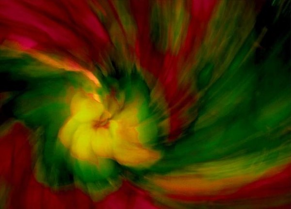 Whirlwind Passion