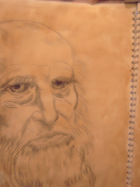 da vinci