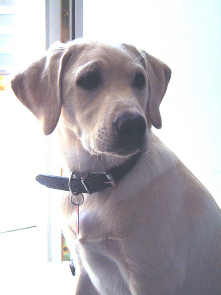 look how ive grown