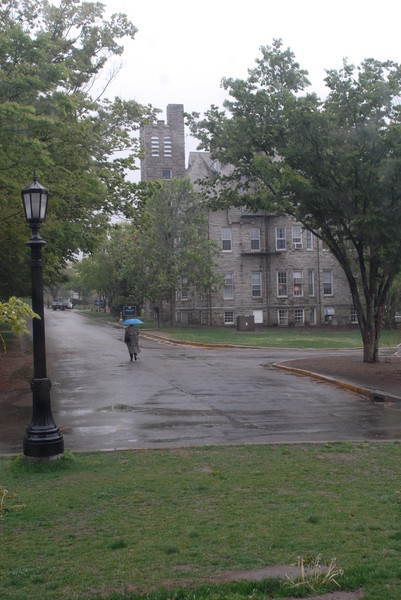 Misty Morning, URI