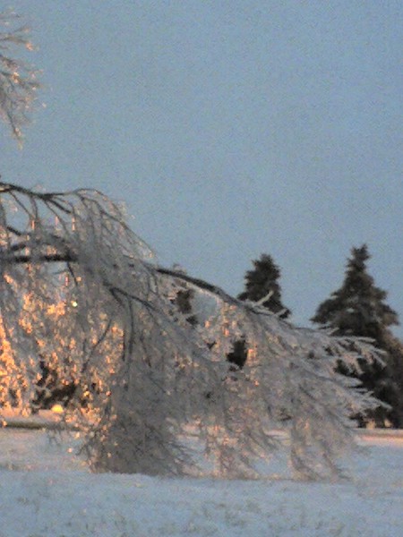 Ice Storm Dec 2007
