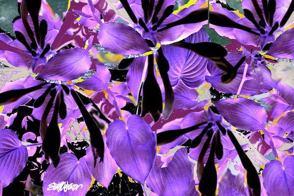 Beware the Midnight Garden