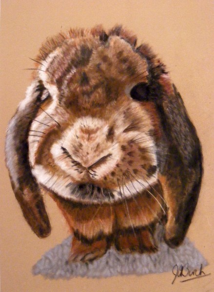 Harvey