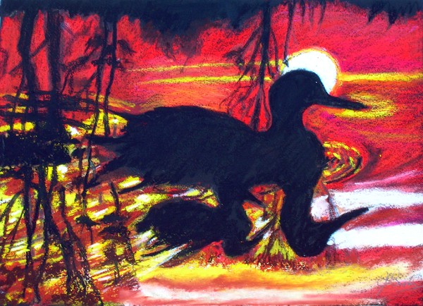 Sunset disturbed