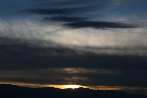 Evening Art  (up up close)