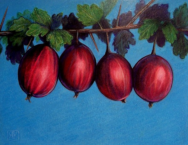 Gooseberries