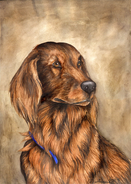 Amber In Umber