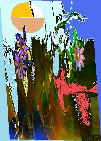 landscape 54