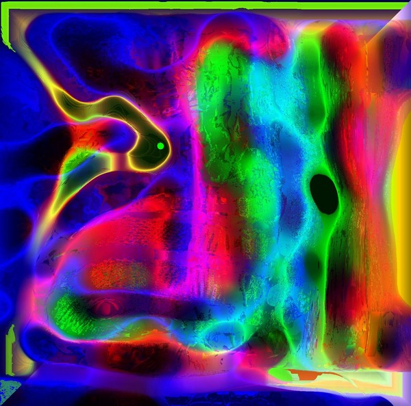 sea life 26