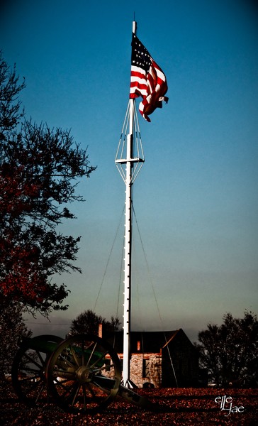American Flag #1