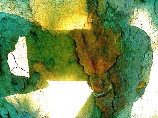My Shadow