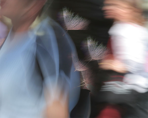 Accidental Encounters#7