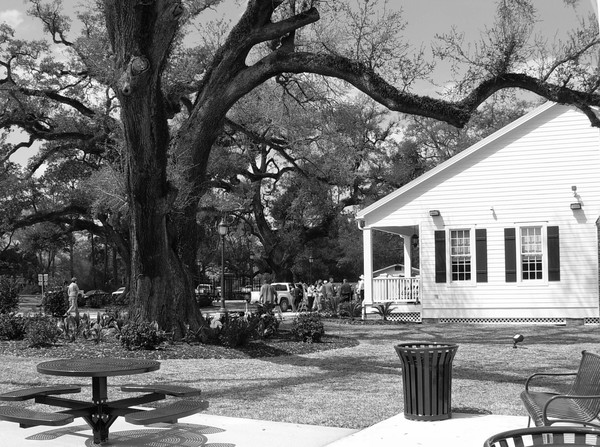 GRAND OPENING. . . Iberville Visiters Center