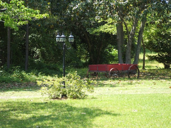 THE LITTLE RED WAGON