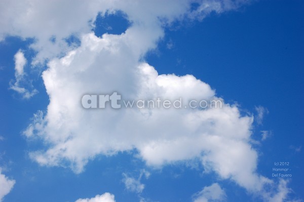 Cloud Bunny Photo