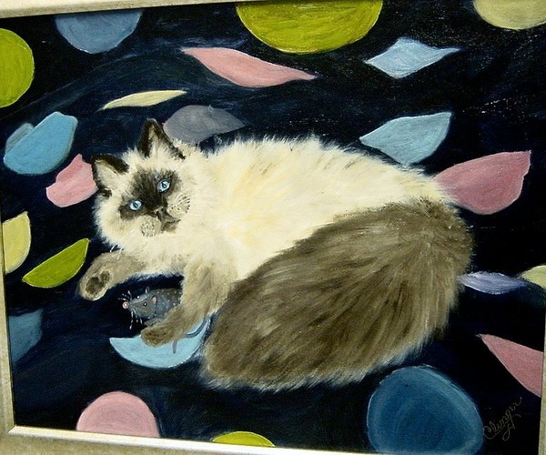 Lindsey's Babydoll Cat