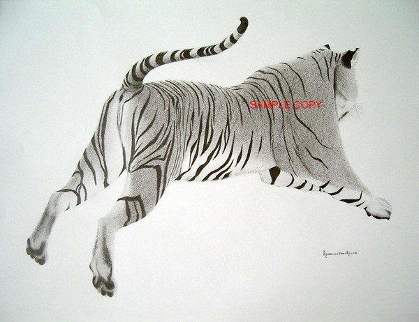 hindview