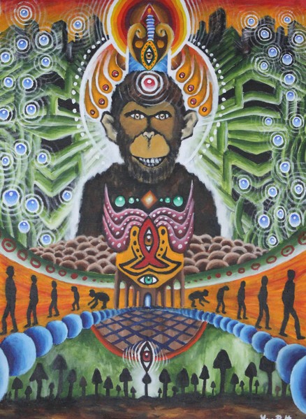 Psychedelic Evolution