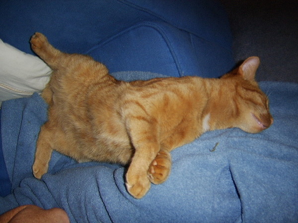 just airing