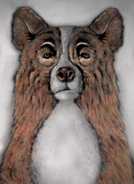 Brown Bear