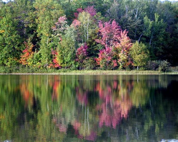 Fall Reflections