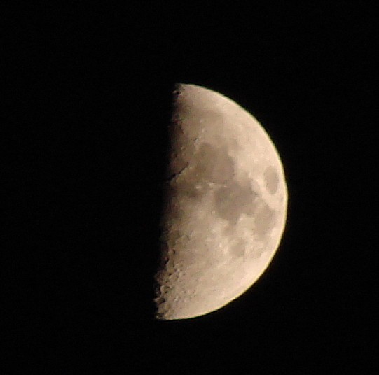 DSC00069