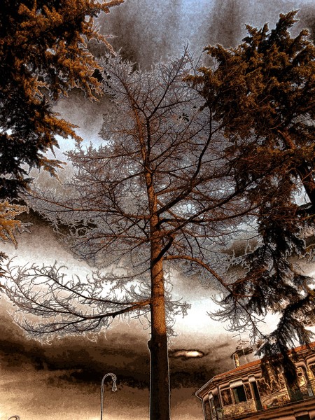  In search of the lost past)