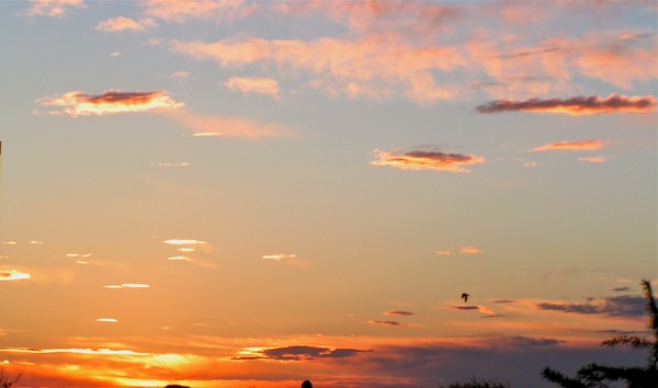 Sunset in November 2007