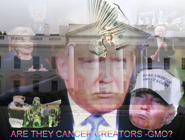 WHITEHOUSE HOPEFULLS
