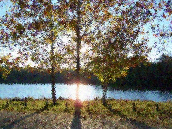 In the Shadows of Trees