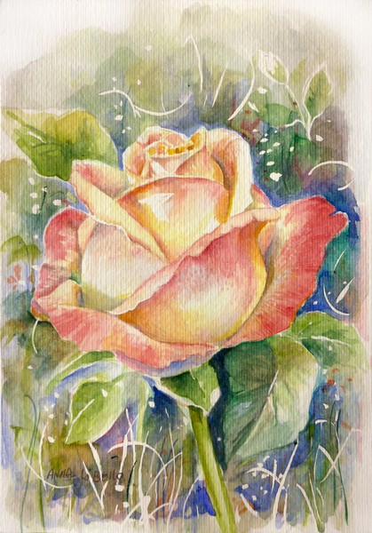 rose 1