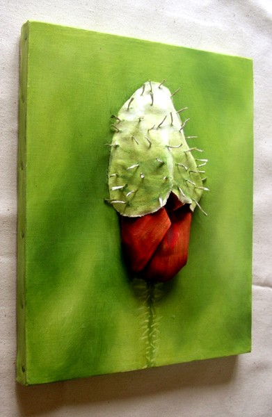 red poppy