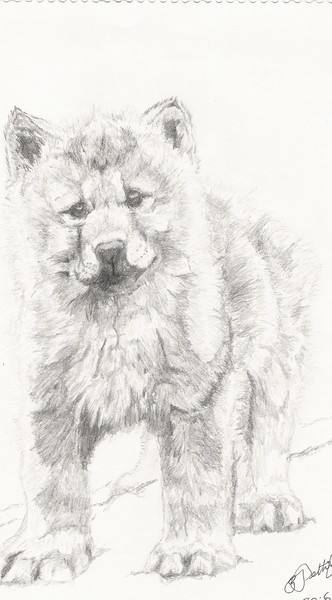 Pup