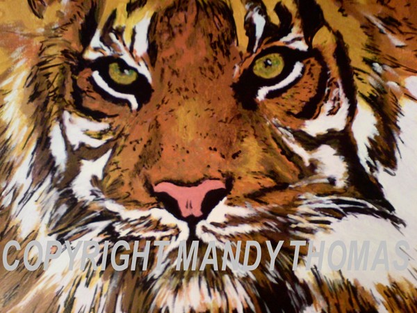 TIGER BRIGHT