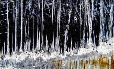 Ice Forest