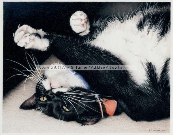 Can't Resist the Cuteness - Lizzie