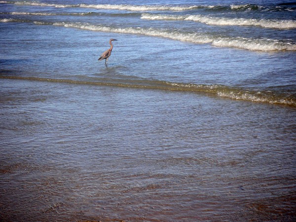 Being One With The Gulf - Expectation