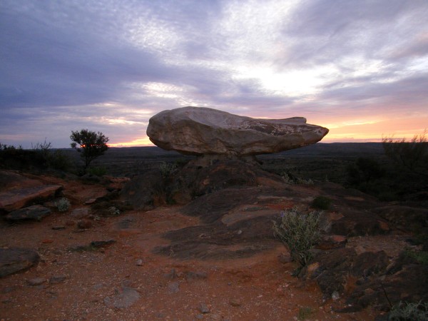 Sculpture Symposium 