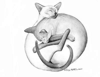 Yin Yang Siamese Cats