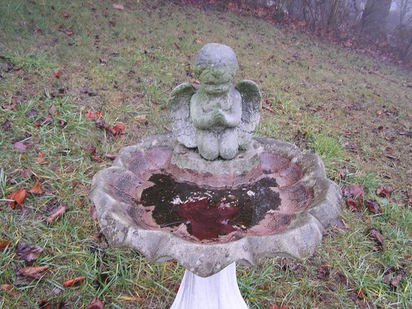 birdbath